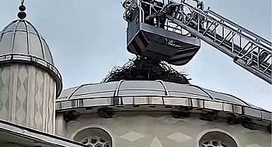 Bursa İtfaiyesi'nden İznik'te can dostuna hayat kurtaran müdahale