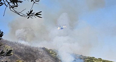 Bursa Orhangazi'de orman yangını!