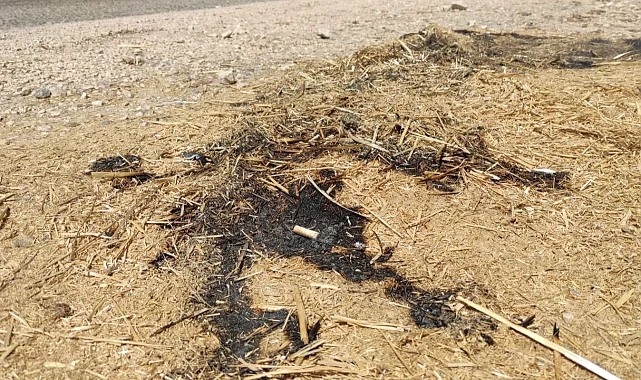 Bursa Yenişehir'de orman yangını son anda önledi