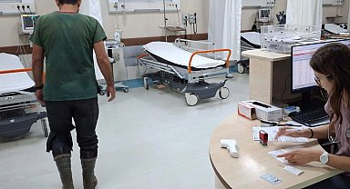 Bursa'da veteriner hekim sokak köpeği tarafından ısırıldı!