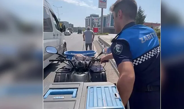 Çayırova Zabıtası'ndan duyarlı davranış