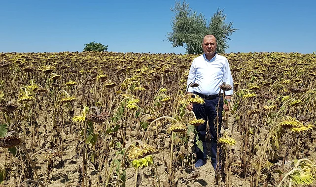 CHP Tekirdağ Milletvekili Aygun'dan kuraklık için yasa teklifi