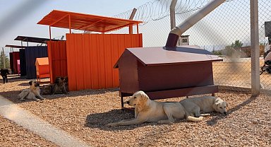 Doğal SİT'lerde hayvan bakımevleri için yeni ilke kararı!