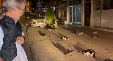 Düzce'de kendini kedilere adadı!