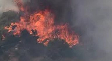 Edirne Keşan yangınında 13 hektar alan zarar gördü