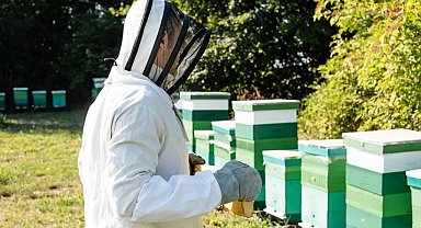 Edirne Keşan'da organik arıcılık kursu başladı