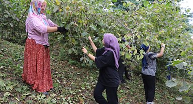 'Fındık Dalda Aklın İşçide Kalmasın' projesi 6. yılında