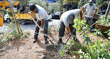 İstanbul Beylikdüzü daha da yeşil olacak
