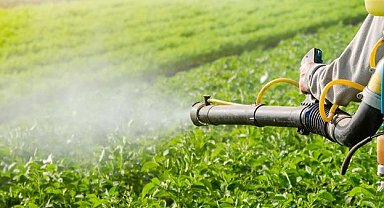 Manisa'dan üreticilere büyük destek