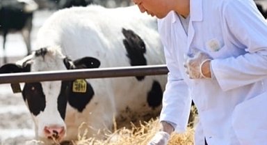 Tarımsal girdide veteriner ve gübre harcamaları arttı