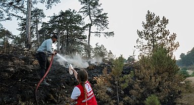 Türk Kızılayı orman yangınlarıyla mücadelede ön safta