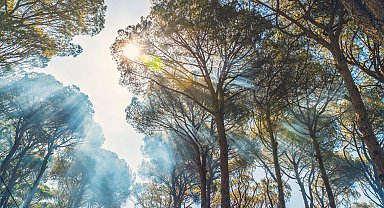 Yangın riskine karşı tatilde nasıl davranmalıyız?