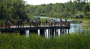 Acarlar Longozu yaz sezonunda 150 bini aşkın ziyaretçiyi ağırladı