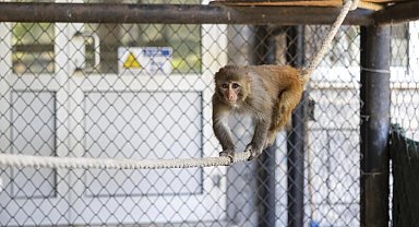 Antalya Döşemealtı'na 123 kilometrelik dev altyapı yatırımı
