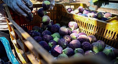 Avrupa’nın Vazgeçilmezi: 