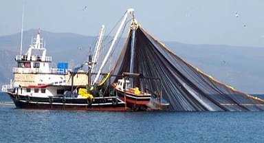 Balıkçılara dev destek! Balıkçılık gemi sayısı yüzde 65 arttı