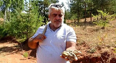 Bayburt’un Doğal Hazinesi