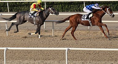 Bursa Büyükşehir Belediye Başkanlığı Koşusu'nda heyecanlı birincilik