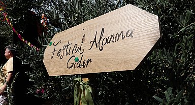 Bursa Gemlik Zeytini'nde uluslararası coşku