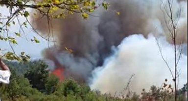 Bursa Gündoğdu Tepesi'nde orman yangını