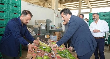 Bursa Yenişehir'in tarım ürünleri Libya yolunda... İlk numuneler gönderildi