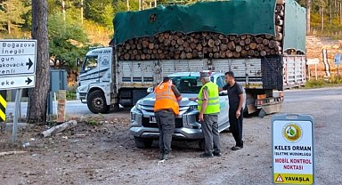 Bursa'da eş zamanlı orman emvali kontrolü