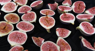 Bursa'nın dünyaca ünlü siyah incirleri Osmangazi'de yarıştı