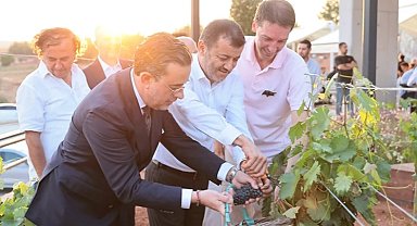 Çal Bağbozumu Festivali kültürle renklendi