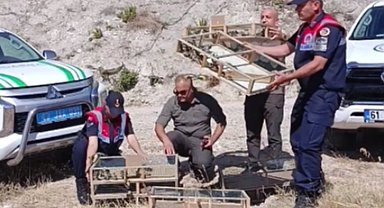 Gediz'de yasak ava 1 milyon ceza!