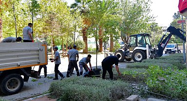 İzmir Bornova'da sakura ve tarçınla yeni bir soluk