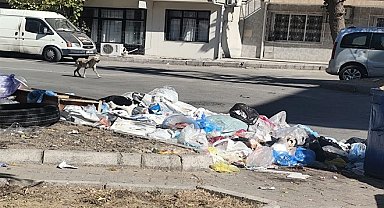 İzmir Buca'da çöp krizi! Mahalleler çöplüğe döndü, vatandaşlar isyanda