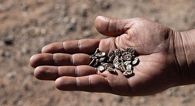 İzmir'de eller toprakla buluştu