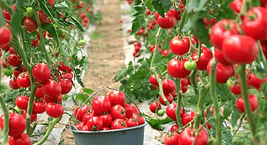 Karacabey'de tarımsal üretimle maliyet avantajı hedeflendi