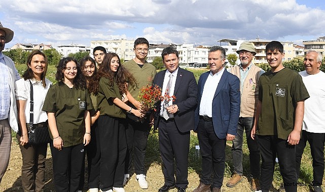 Kaybolmaya yüz tutmuş ata tohumları Osmangazi’de yetişiyor