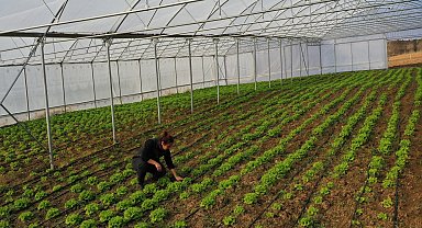 Kocaeli Büyükşehir'den çiftçilere modern sera desteği