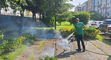 Kocaeli'de vektörle mücadeleye güçlü destek