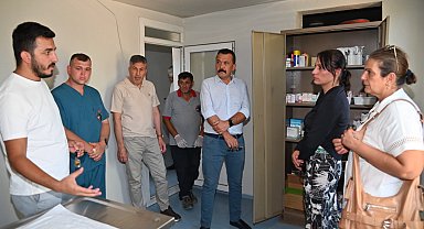 Manisa'da sokak hayvanları için yeni yaşam alanları oluşturuluyor