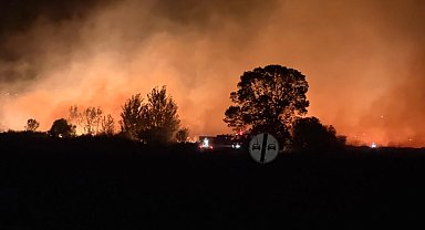 Mecidiye'de anız yangını kontrol altına alındı