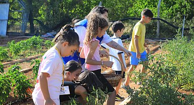 Muğla'da minik eller hasat sevinci yaşadı