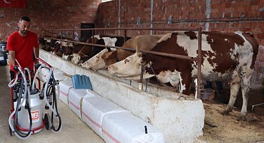 Ordu'da sütün değeri artıyor üreticinin yüzü gülüyor