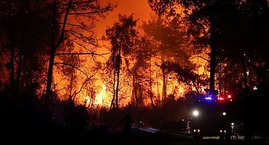 Orman Yangınlarında Son Durum!
