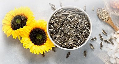 PAN-PA siyah çekirdek alımlarına başladı