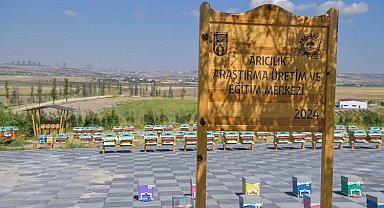 ABB'den arıcılık için dev proje