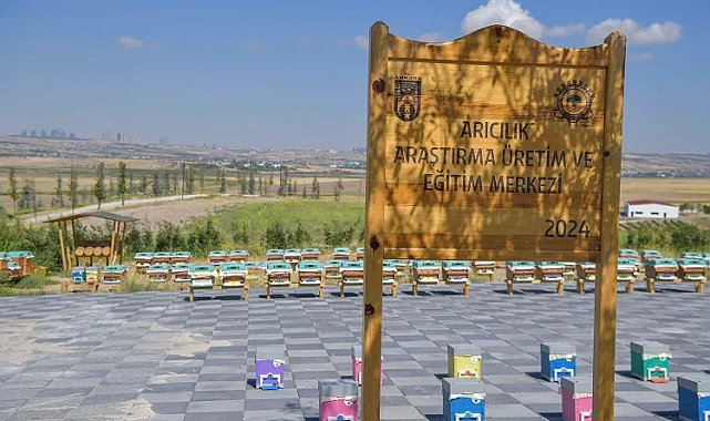 ABB'den arıcılık için dev proje