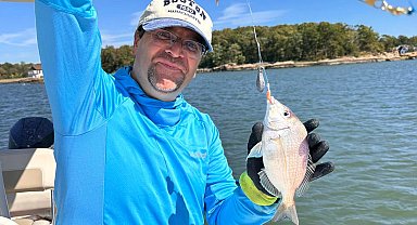 ABD'de amatör balık tutmanın cezası 250 dolar