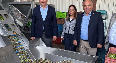 Ayvalık Ticaret Odası: Zeytinyağı ihracatında en büyük sorun markasızlık
