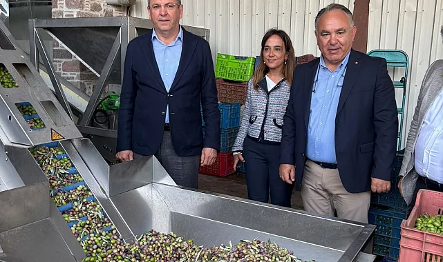 Ayvalık Ticaret Odası: Zeytinyağı ihracatında en büyük sorun markasızlık