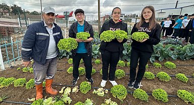 Bahçem Çayırova'da öğrencilerden kıvırcık ve roka hasadı