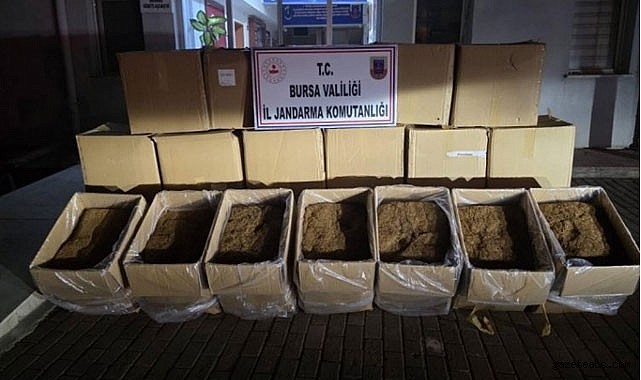 Bursa’da Kaçak Tütün Operasyonu