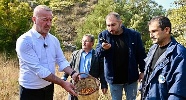 Bursa Karacabey 'Alıç Meyvesi'ni dünya pazarında tanıtacak!